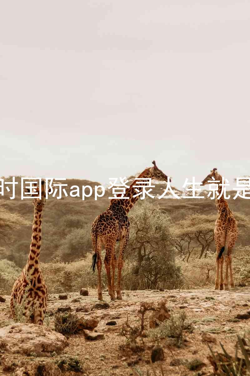 凯时国际app登录人生就是博